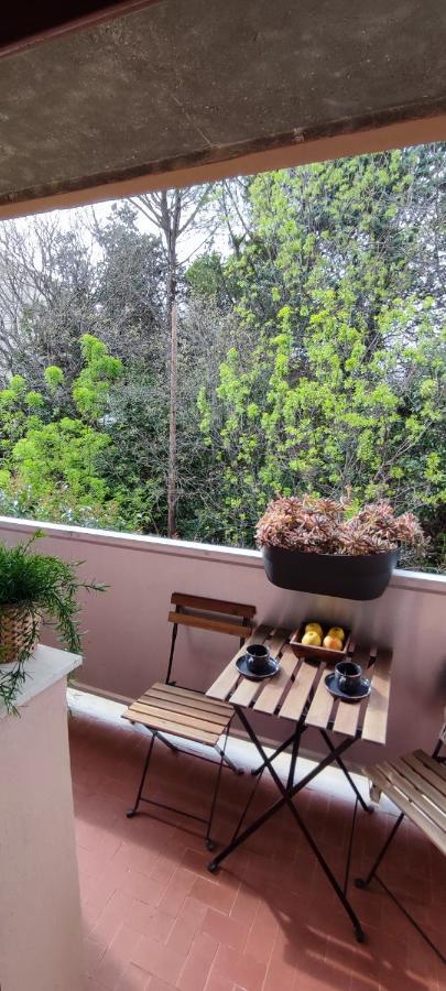 Michelet Studio Climatise Avec Balcon Et Parking Ferme Montpellier Exteriér fotografie